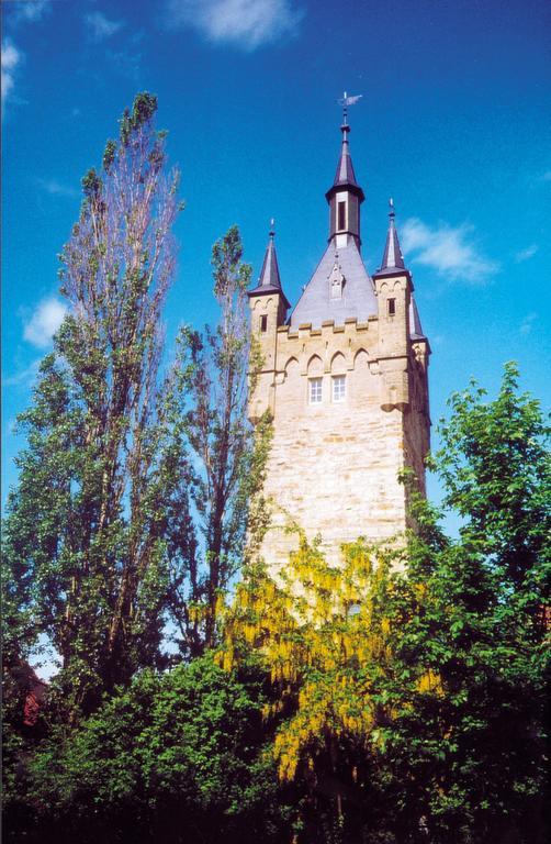 Gaestehaus Fernblick Bad Wimpfen Dış mekan fotoğraf